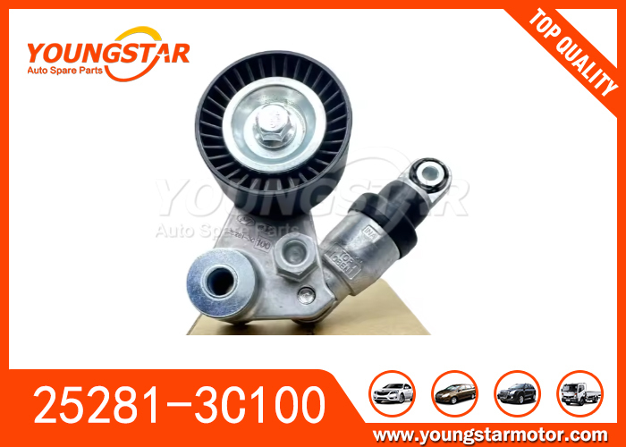 25281-3C100 25281-3C600 Per Hyundai Palisade 20-22 Santa Fe 07-19