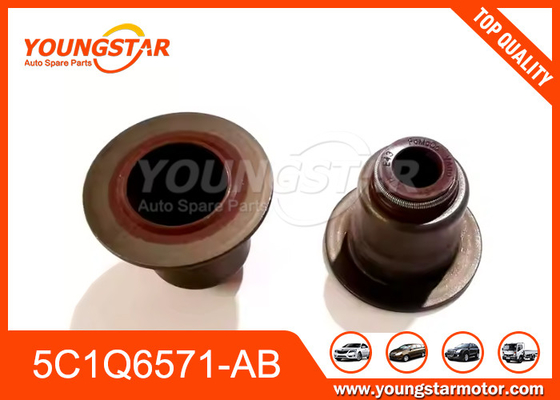 5C1Q6571-AB Valve Steal per Ford V348 Transit 2.4 2.2