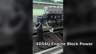 Motore 4D56U di YOUNG STAR MOTOR