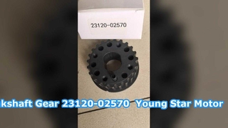 Ingranaggio cinghia dentata albero motore Hyundai Getz 23120-02570 YOUNG STAR MOTOR
